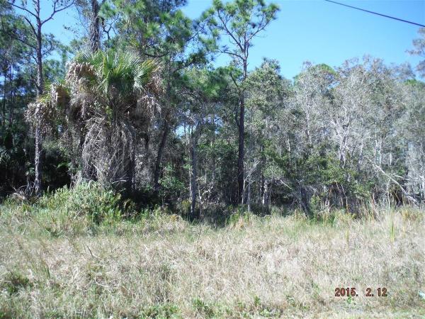 St Lucie Gardens, 00 Silver Oak Dr, Port St. Lucie, Florida 34952, image 2