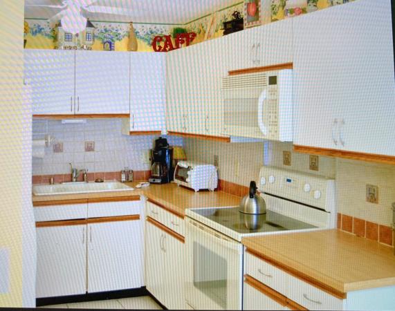 Banyan Springs Patio Villas, 10052 Shadywood Pl, Boynton Beach, Florida 33437, image 2