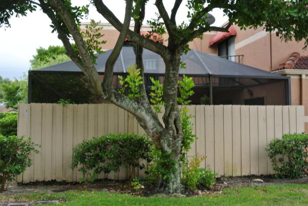 Seven Springs, 6177 Seven Springs Blvd, Greenacres, Florida 33463, image 3