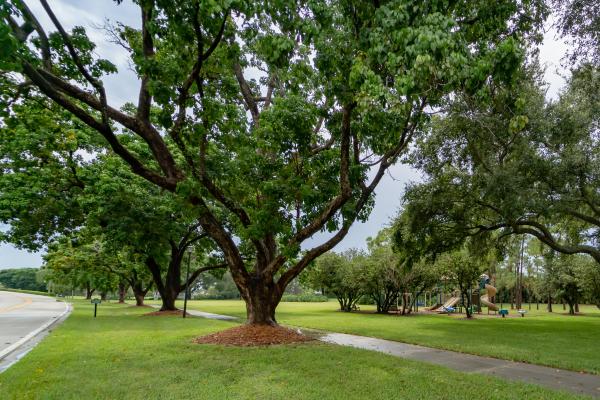 Club Cottages, 609 Club Dr, Palm Beach Gardens, Florida 33418, image 2