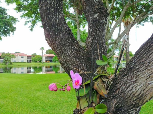 Glades Of Boca Lago, 21791 Arriba Real, Boca Raton, Florida 33433, image 3