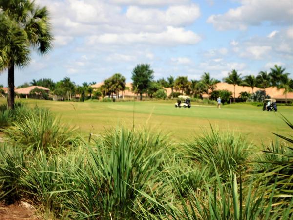 Orchid Reserve, 10229 Orchid Reserve Dr, West Palm Beach, Florida 33412, image 1