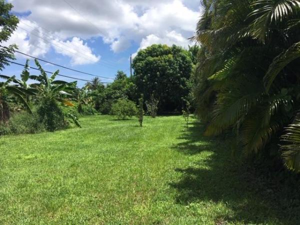 Bergantino Estates, 4338 Forest Rd, West Palm Beach, Florida 33406, image 3