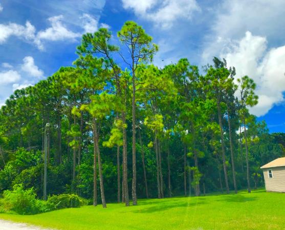 The Acreage, 12091 88th Pl N, West Palm Beach, Florida 33412, image 2
