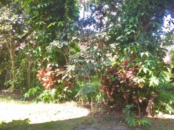 Windsong, 6342 Longboat Ln W #102, Boca Raton, Florida 33433, image 2