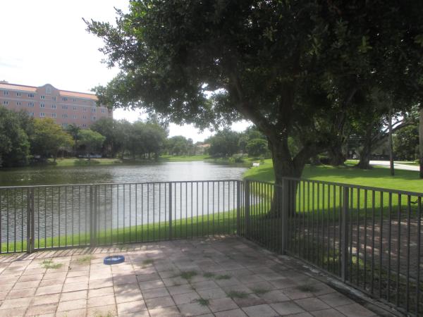 The Townhomes Of Deer Creek, 306 Deer Creek Lakeside Way, Deerfield Beach, Florida 33442, image 1