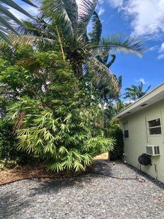 Dewey Heights, 103 SE 28th Ave, Boynton Beach, Florida 33435, image 3