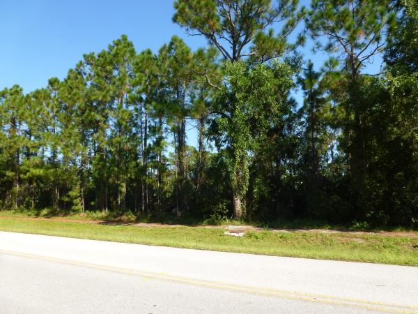 The Acreage, 17145 Hamlin Blvd, Loxahatchee, Florida 33470, image 1