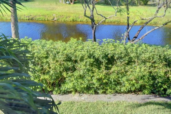 Mizner Pointe Of Boca Via Ancho, 8301 Via Serena, Boca Raton, Florida 33433, image 1