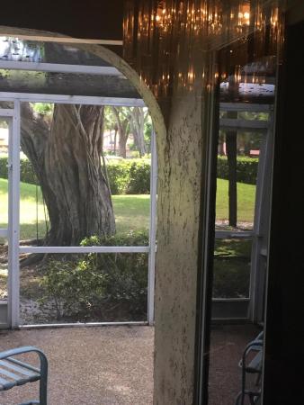 Verona Of Deer Creek, 2288 Deer Creek Alba Way, Deerfield Beach, Florida 33442, image 1