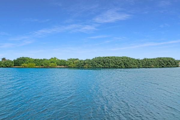 Kokomo Key, 1065 Kokomo Key Ln, Delray Beach, Florida 33483, image 1