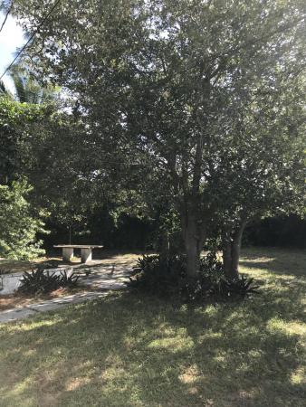 Edgewater Park, 2401 Palm Rd, West Palm Beach, Florida 33406, image 3