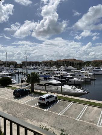 The Marina At The Bluffs, 1401 Tidal Pointe Blvd #303, Jupiter, Florida 33477, image 2