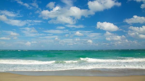 Resort Villas, 401 Resort Ln, Palm Beach Gardens, Florida 33418, image 3