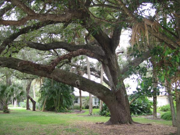 Fort Pierce Residential, 0 S Indian River Drive, Fort Pierce, FL 34950, Fort Pierce, Florida 34950, image 2