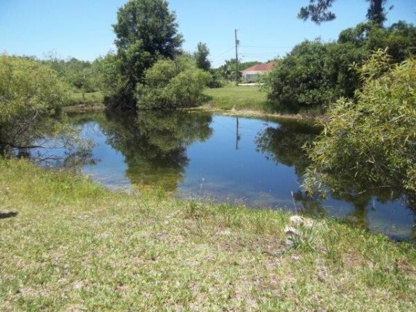Loxahatchee Groves Residential, 14037 43rd Rd, Loxahatchee Groves, Florida 33470, image 2