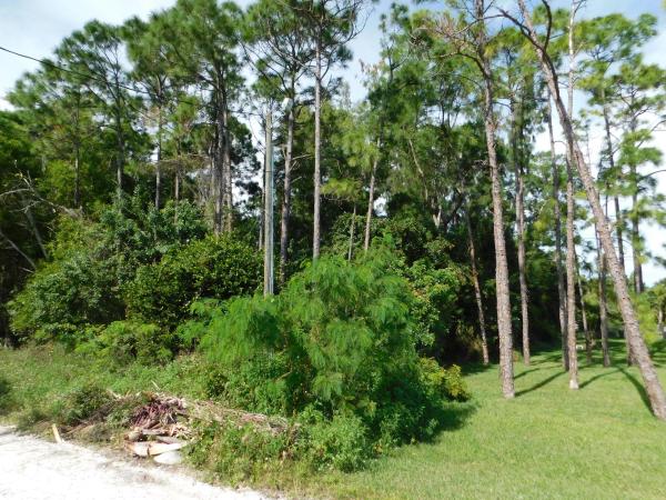 The Acreage, 12091 88th Pl N, West Palm Beach, Florida 33412, image 1