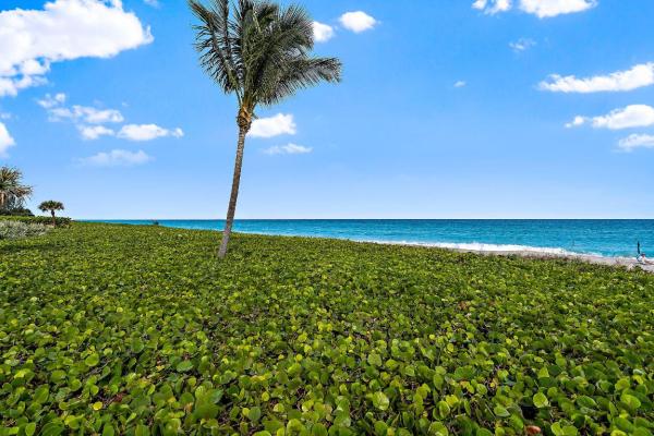 The Barclay, 120 Celestial Way #106, Juno Beach, Florida 33408, image 1