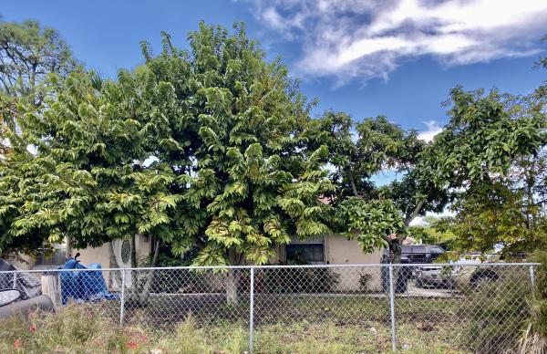 Lake Worth No HOA, 4985 S Bowman St, Lake Worth, Florida 33463, image 1