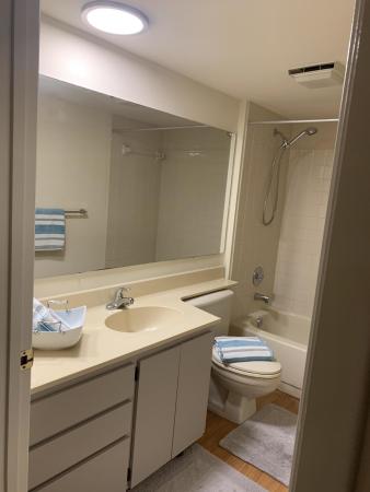 Whitehall, 3520 Whitehall Dr #402, West Palm Beach, Florida 33401, image 1