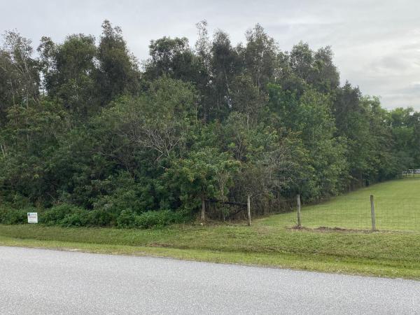 The Acreage, 13310 Hamlin Blvd, West Palm Beach, Florida 33412, image 1