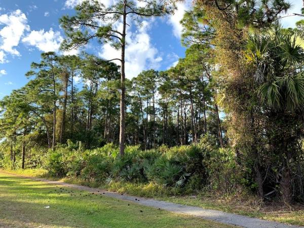 The Acreage, 15775 Temple Blvd, Loxahatchee, Florida 33470, image 2