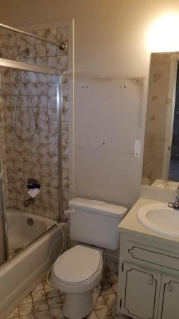 Vista Encanto, 429 Avenida Hermosa, West Palm Beach, Florida 33405, image 1