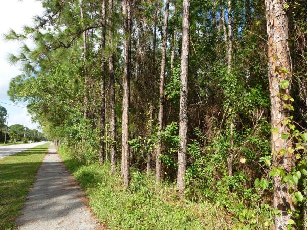 The Acreage, 16119 Key Lime Blvd, Loxahatchee, Florida 33470, image 1