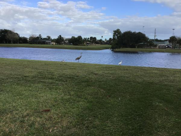 Walton Court, 2398 SE Brekenridge Cir, Port St. Lucie, Florida 34952, image 2