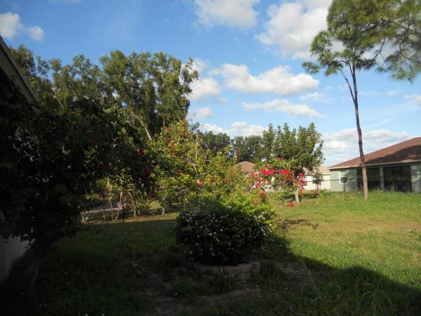 442 SW Tulip Blvd, Port St. Lucie, Florida 34983, image 3