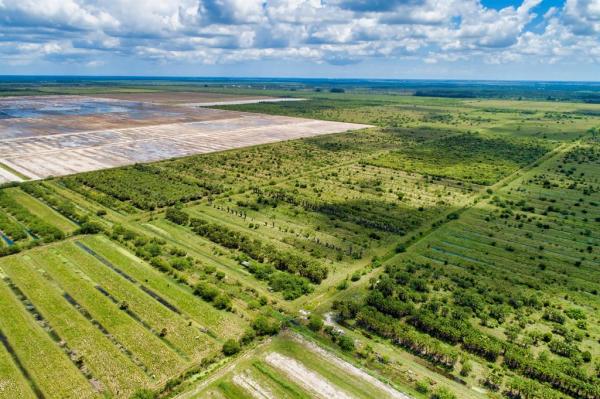 Tbd Carlton Extension Rd, Fort Pierce, Florida 34945, image 1