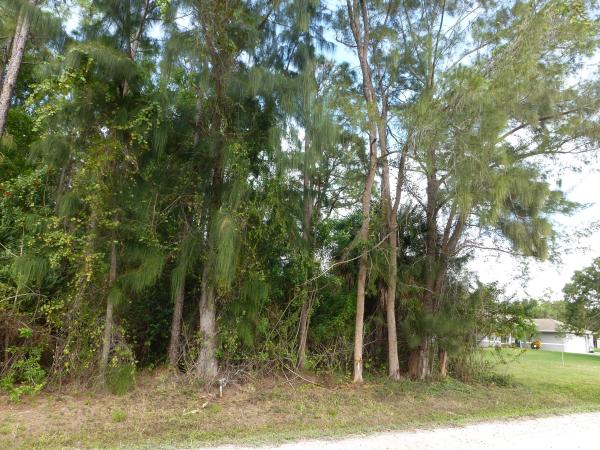 The Acreage, 12182 86th Rd N, West Palm Beach, Florida 33412, image 1
