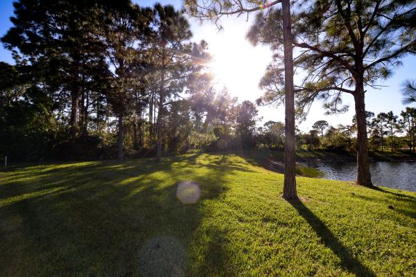 Castle Pines, 8334 Mulligan Cir #2013, Port St. Lucie, Florida 34986, image 1