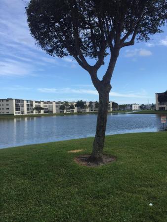 Wolverton At Century Village, 4081 Wolverton E, Boca Raton, Florida 33434, image 1