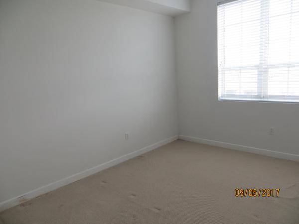 The Whitney, 410 Evernia St #829, West Palm Beach, Florida 33401, image 3