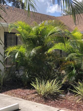 Sugar Pond Manor, 1507 NW Hawthorne Pl, Wellington, Florida 33414, image 2