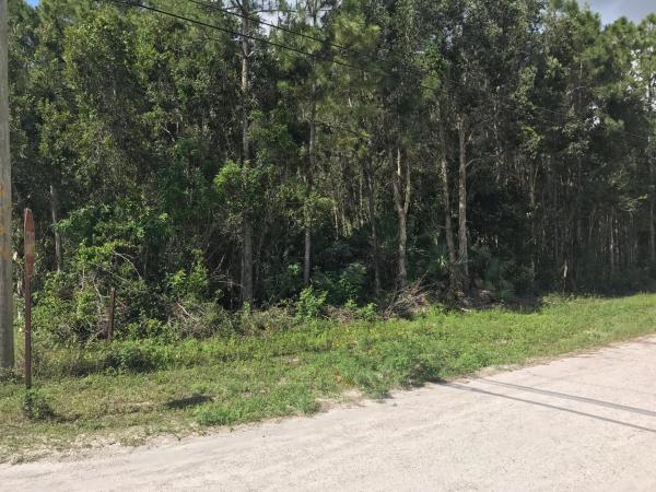 The Acreage, 8167 Grapeview Blvd, Loxahatchee, Florida 33470, image 2