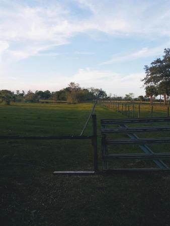 21206 Glades Cut Off, Fort Pierce, Florida 34945, image 1