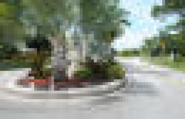 Covered Bridge, 411 Bennington Ln, Lake Worth, Florida 33467, image 1