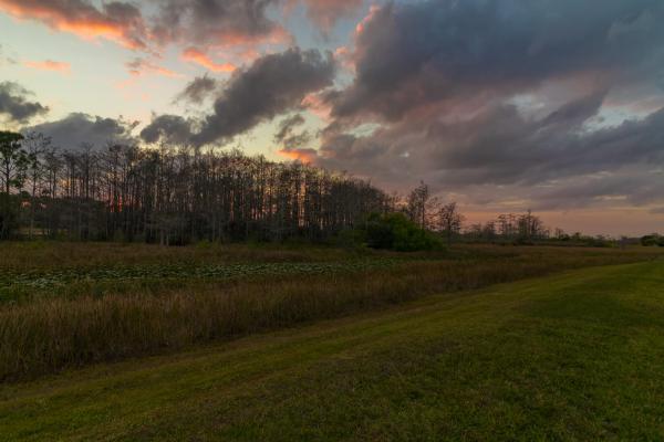 Heather Run, 504 Sabal Palm Ln, Palm Beach Gardens, Florida 33418, image 2