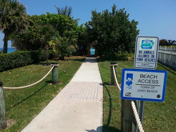 The Manor, 911 Ocean Dr #306, Juno Beach, Florida 33408, image 1