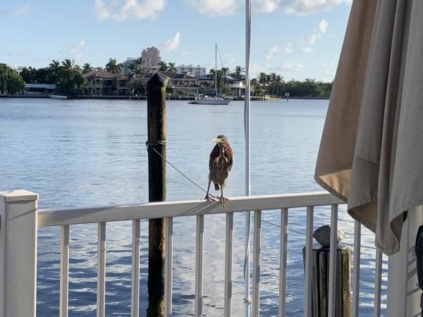 Sunrise Bay Club, 2727 Yacht Club Blvd #3C, Fort Lauderdale, Florida 33304, image 1