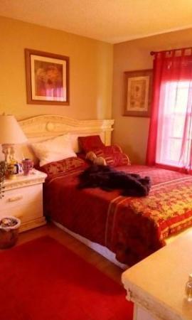 Cashmere Cove, 1941 SW Morelia Ln, Port St. Lucie, Florida 34953, image 2