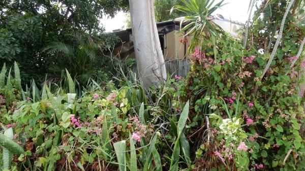 370 SW 25th St, Fort Lauderdale, Florida 33315, image 1