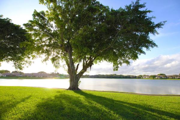 Lake Windwood, 300 Palmwood Pl #1080, Boca Raton, Florida 33431, image 1