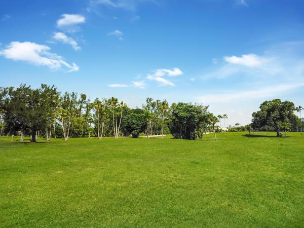 Imperial At Poinciana Place, 3951 Via Poinciana #212, Lake Worth, Florida 33467, image 1