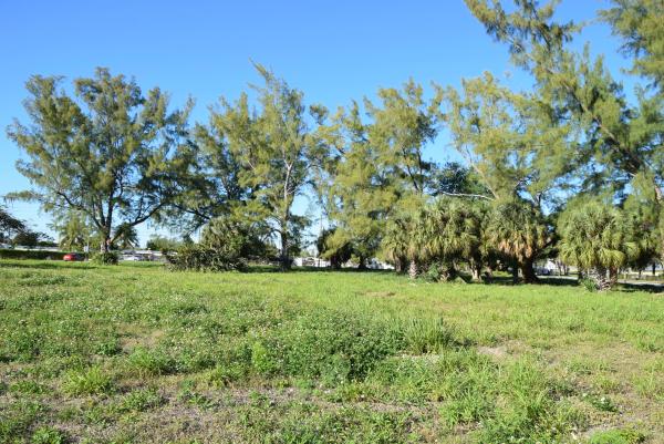Buffalo Heights, 7 N Detroit St, Lake Worth, Florida 33461, image 1