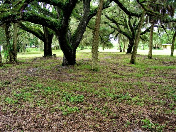 Fort Pierce Residential, Tbd Jenkins Rd, Fort Pierce, Florida 34981, image 2
