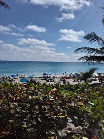 Sterling Village, 660 Horizons W #209, Boynton Beach, Florida 33435, image 1