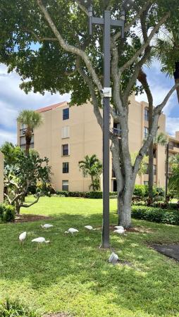 Lavers Delray Racquet Club, 950 Egret Cir #5303, Delray Beach, Florida 33444, image 2